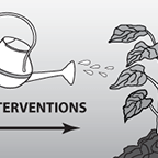 Hierarchical Intervention Process Illustration