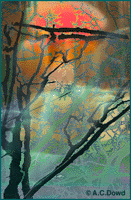 Photo composit of sunrise scene