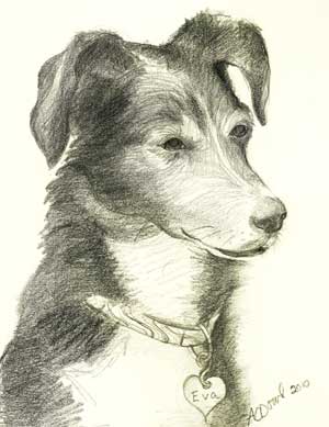 pencil sketch of Eva