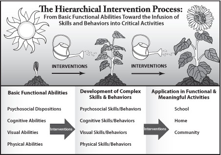The Hierarchical Intervention Process