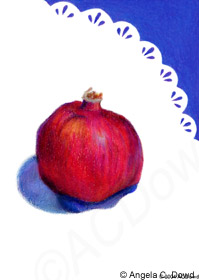 Drawing of a pomegranate