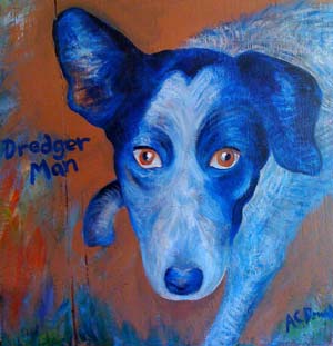portrait of blue healer