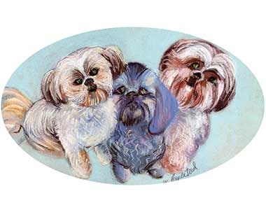 3 Shih Tzu dogs
