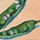 peas and squash icon