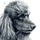 dog icon